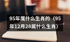 探究1995年12月28日出生的人属于哪个生肖