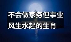 为何有些生肖不擅长家务却能事业有成？