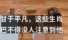 甘于平淡的这些生肖，渴望被忽略掉的存在