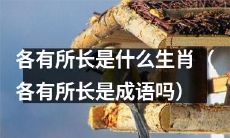 什么生肖各有所长？是否与“各有所长”这一成语有关？
