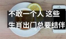 这几个生肖深知安全至上，外出时总是选择结伴而行，不敢独自行动