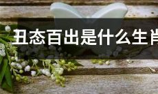 哪个生肖会频频出丑？