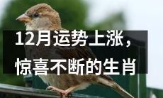 十二生肖12月份运势大涨，好运连连惊喜不断现世！