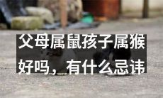 父母属鼠、孩子属猴的亲子组合是否靠谱？存在哪些需要注意的忌讳？