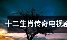 《十二生肖传奇：一部扣人心弦的充满传奇色彩的电视剧》