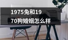 如何看待1975年兔和1970年狗的婚姻状况,有哪些值得深入探讨的问题?