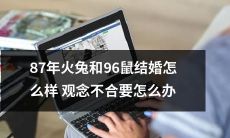 如何处理观念不合的情况-以87年火兔和96鼠的婚姻为例