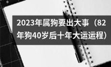 预测：2023年82年属狗人将迎来重要转机，40岁后十年大运运程将带来巨变！