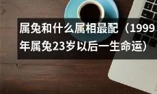 1999年属兔23岁以后的人生命运：探索什么属相最适合与属兔搭配？