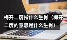 什么生肖代表着“梅开二度”，旺运持续又多一次好运的机会？