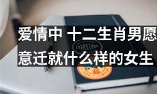 在爱情中，十二生肖男追求何种女性品质并愿意付出多少？