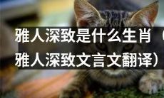探讨雅人深致的十二生肖归属及其文言文翻译