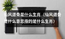 什么生肖拥有仙风道骨这样高尚的品质与性格特征?(仙风道骨的意义指向哪个生肖?)