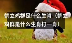 您知道“鹤立鸡群”指的是哪个生肖吗？（让您猜一猜鹤立鸡群是哪个生肖）