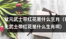 请问状元武士身上佩戴的红花所代表的生肖是什么?