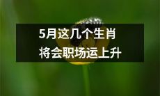 五月即将到来，这几个生肖将会在职场上运势上升！