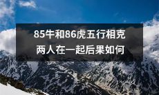 当85年出生的牛和86年出生的虎相遇时，由于五行相克的影响，会导致哪些影响和后果？