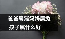 父亲属猪，母亲属兔，孩子该属于什么？您有任何建议吗？