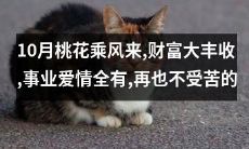 10月桃花乘风而来，带来丰盈的财富，同时满载事业和爱情的灿烂，让你告别苦难岁月！