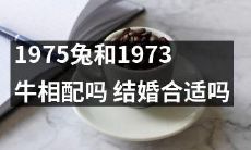1975年出生的兔子与1973年出生的牛结婚是否兼容?会得到幸福婚姻吗?