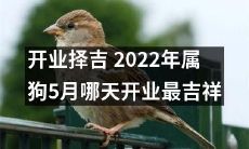 2022年属狗者开业择吉攻略：深度分析，探讨5月哪一天开业最具吉祥之兆
