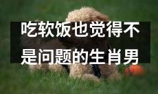 有着不愁吃穿且品质生活从不妥协的富裕生肖男性