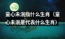 探讨童心未泯代表哪个生肖的象征意义