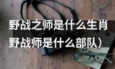 哪个生肖最适合成为野战之师（哪个部队能够胜任野战任务）？