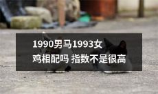 1990年出生的男性与1993年出生的女性相配，其相容性指数较低