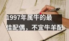 1997年出生的属牛人最适合寻找哪种配偶？需要避免与哪种属相的羊搭配？