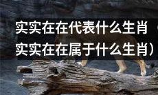 哪个生肖象征着真正的实际意义和物质价值？