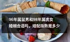 根据生肖理论,96年出生的属鼠男和98年出生的属虎女合婚合适与否?婚姻匹配指数如何评估?