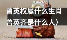 曾英权的生肖是什么？曾英齐是哪位人物？