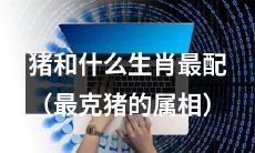 哪个生肖和猪最不相配（最不兼容猪的属相）？