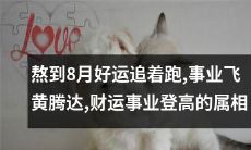 经历了漫长8月的磨练,追着跑的好运降临,让拥有此属相的人踏上了飞黄腾达的事业之路,同时迎来了登峰造极的财富成就