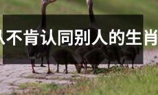个性,探索为什么有些人总是不同意他人的生肖特质和性格分析