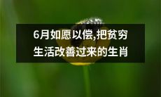 6月实现愿望：经过努力将贫穷生活改善的生肖是哪些？