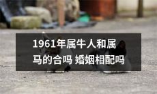 1961年出生的属牛人和属马人是否适合结为婚姻伴侣?