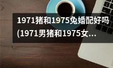 这样的婚配适合1971年生的男猪和1975年出生的女兔吗？