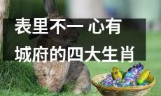 四大心有城府的生肖：表里不一的隐藏自我