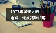 探究1977属蛇人的婚姻：由于蛇、虎、猪三者之间性格迥异，难以完美融合，造成相容性问题
