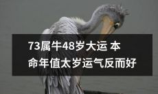 在73岁属牛人48岁的大运本命年，反常的运势让太岁不再成为压力，反倒带来了好运