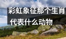 彩虹的象征意义中,是否包含了代表何种动物的生肖?