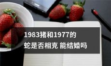 1983年出生的猪和1977年出生的蛇之间是否存在相克，并且是否有可能发展成婚姻关系？