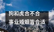 狗和虎的相处:探究是否事业与婚姻两者皆合适