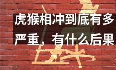 虎猴相冲之危害有多严重？如果不及时处理，可能会导致哪些不良后果？