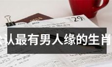 据普遍认可,拥有最具吸引力的男性缘的生肖女性是谁?