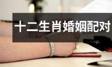 十二生肖的婚姻配对分析:十二种动物星座带来的美满婚姻与爱情生活