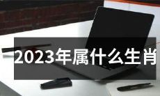 在2023年，人们将迎来哪个生肖的主宰？