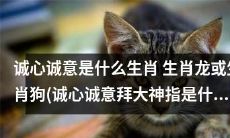 诚心诚意拜大神指向的是哪个生肖,是生肖龙还是生肖狗?